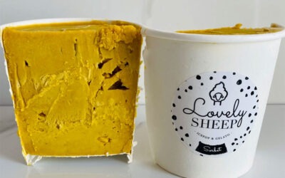 Sorbet éphémère Figue de Barbarie