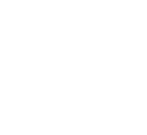 Logo Lovely Sheep Blanc